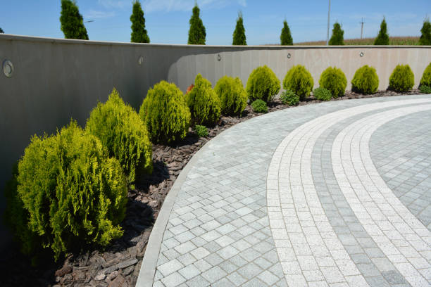 Best Residential Paver Driveway  in Steubenville, OH